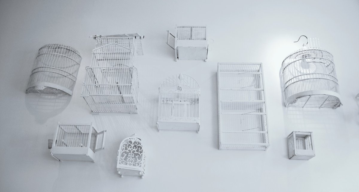 Are your cages empty yet? youtu.be/jEHfYRlVz9k?li…