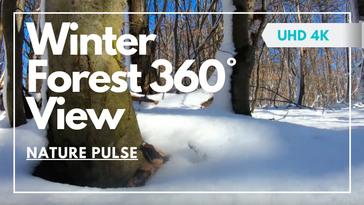MoriAyumiphd's tweet photo. Camera left rotating in deep in the forest in the winter, pure nature sounds ==>> https://t.co/IiUNDXHMtA
#relaxation #relaxing #naturepulse #nature #stressrelief #stressmanagment #foresttherapy #hikingadventures #hiking https://t.co/rkiOzeKXTc