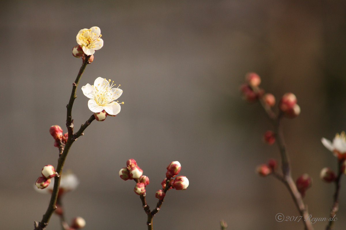 Yusuf KILIÇ tweet media