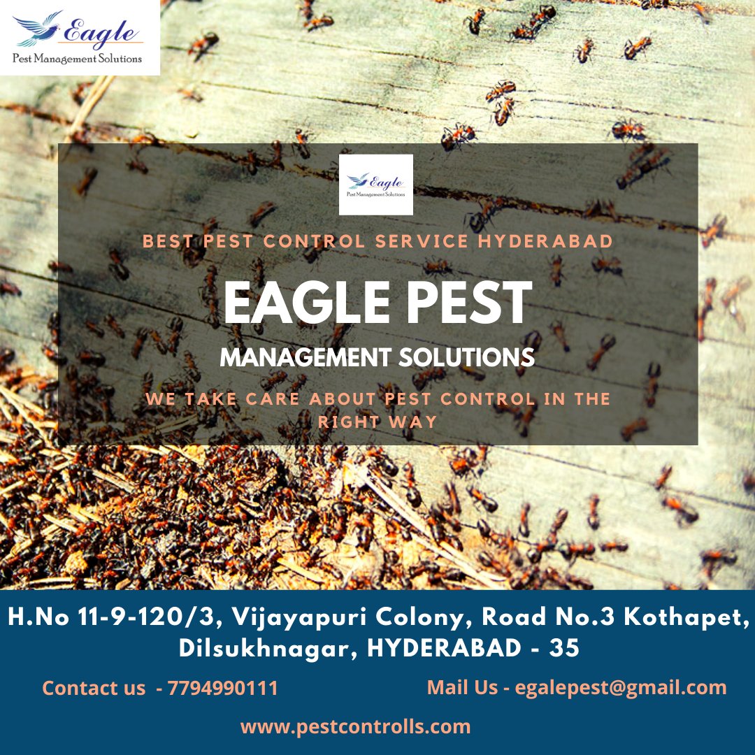 Eagle Pest Management Solutions (eagle_pest_ctrl) Twitter