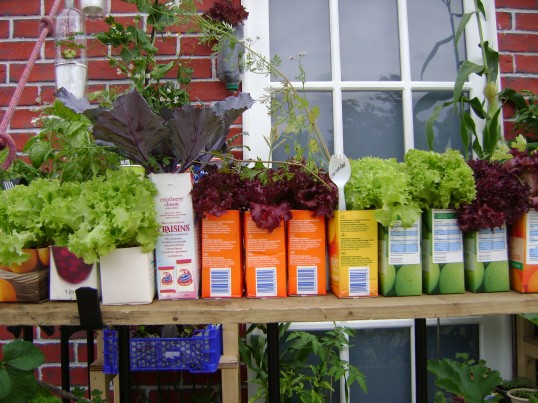 Extinction Rebellion Global tweet media