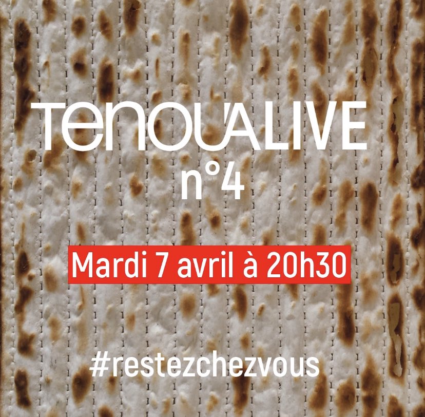 Tenoua's tweet photo. Un #tenoualive 4 différent vous attend mardi ! À la veille de la sortie d'Egypte sans sortie de chez soi, @rabbidelphineH vous propose une répétition générale du Seder : "MA NISHTANA, en quoi ce Pessah sera différent de tous les autres?" #RestezChezVous #JamaisSansTenoua https://t.co/0pnjFw2TJN