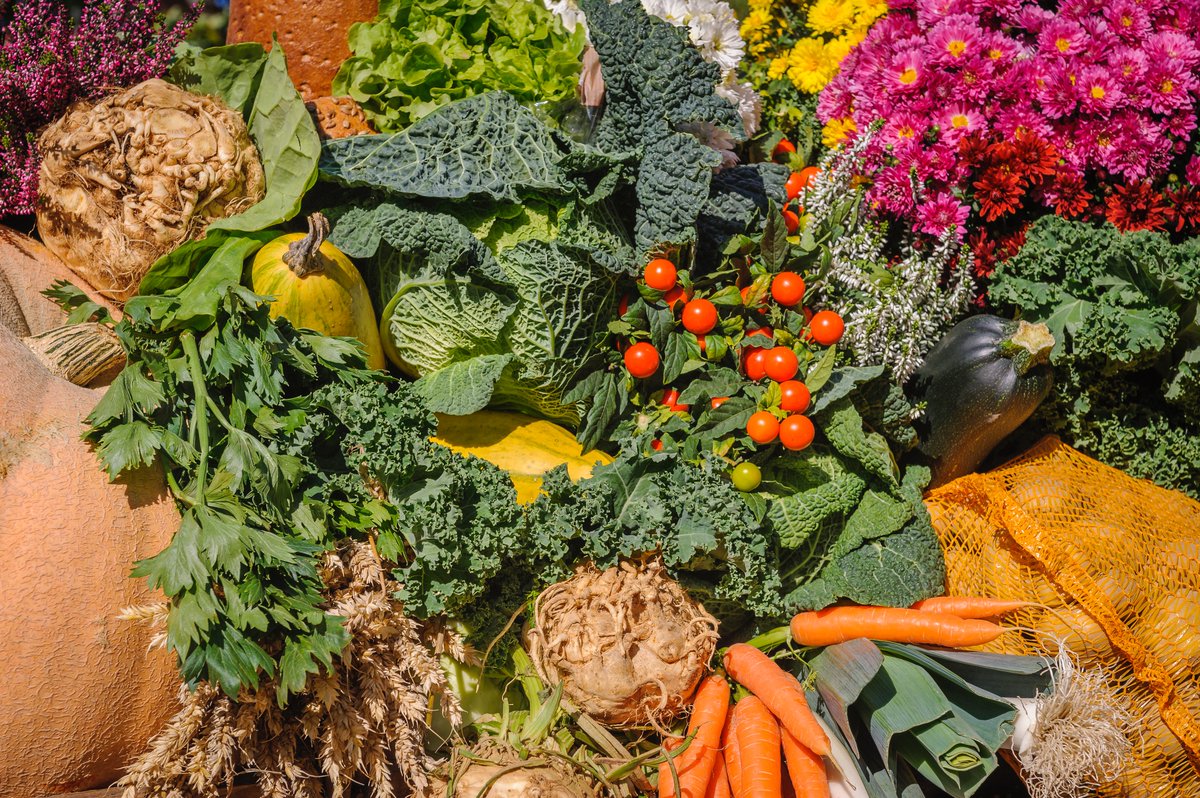 YorkCatering's tweet photo. Remember to eat healthily during this challenging time. Eat plenty of fresh fruit and vegetables for extra vitamins - giving your immune systems the very best support. 
Keep your distance and stay safe. Together we will overcome.

#healthyeating #vitamins #support #yorkcatering https://t.co/DN2e5hu9NI