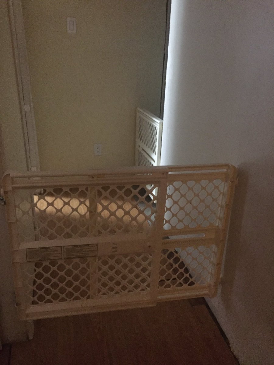 Michelle Palmer tweet media