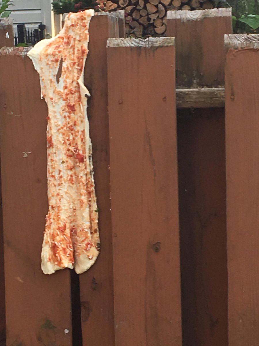 if you're still on the fence about whether to refund me or not, this pizza on a fence should convince you...