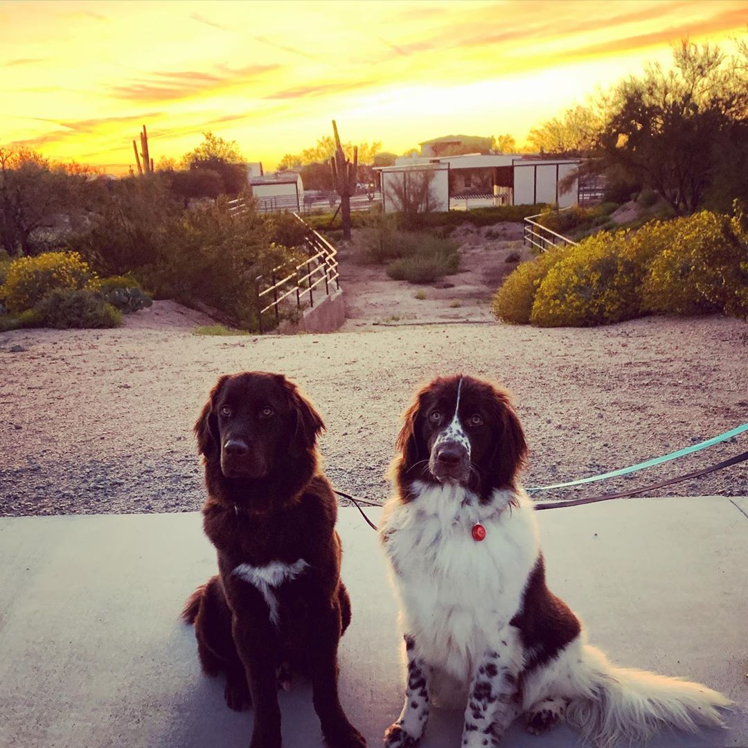 petloverjacob's tweet photo. Say "Hello" https://t.co/JXiW0xPkNd