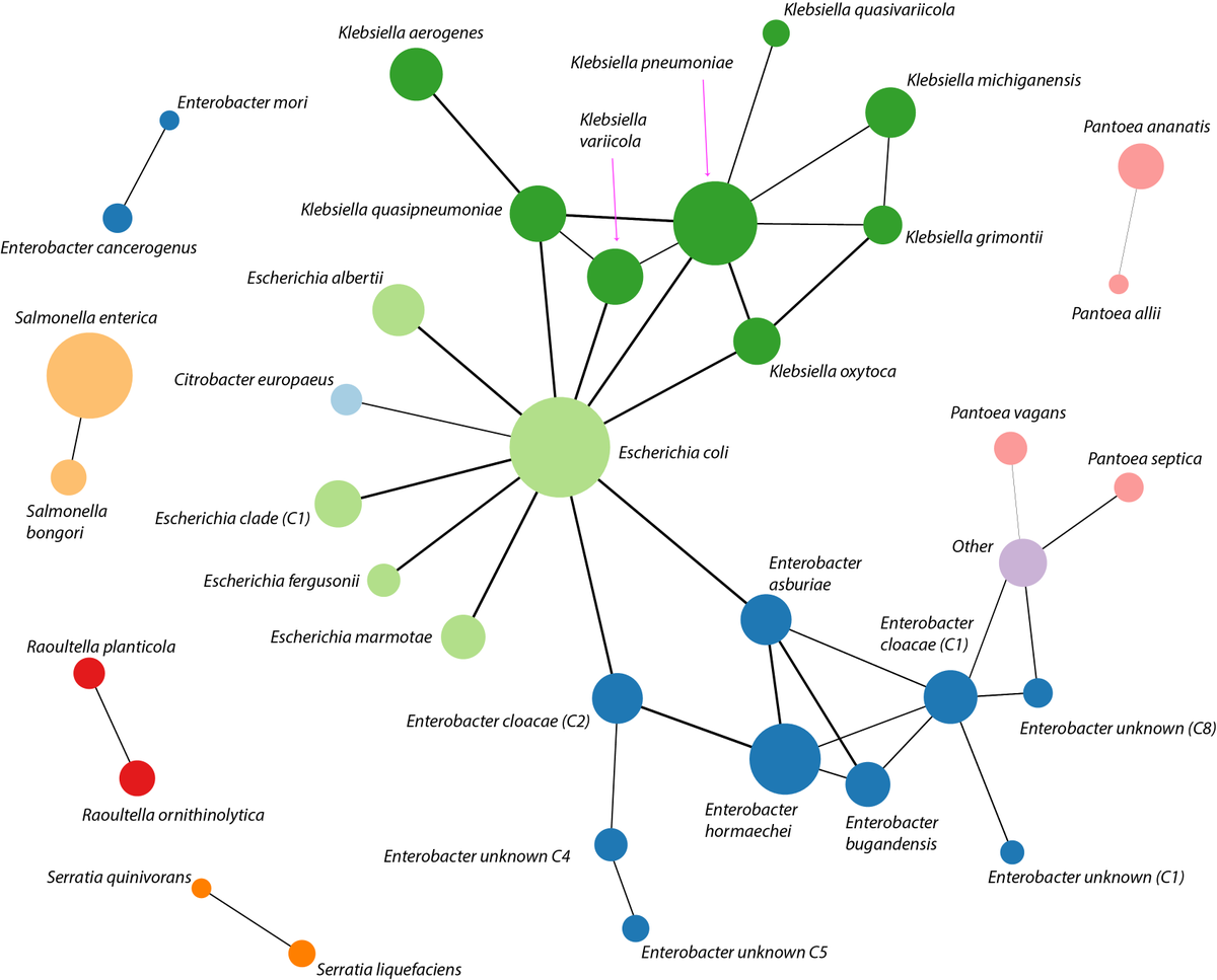 Rafal Mostowy tweet media