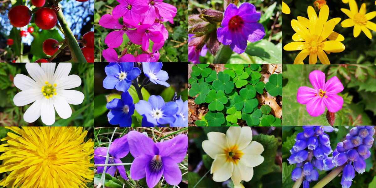 Litegreen tweet media