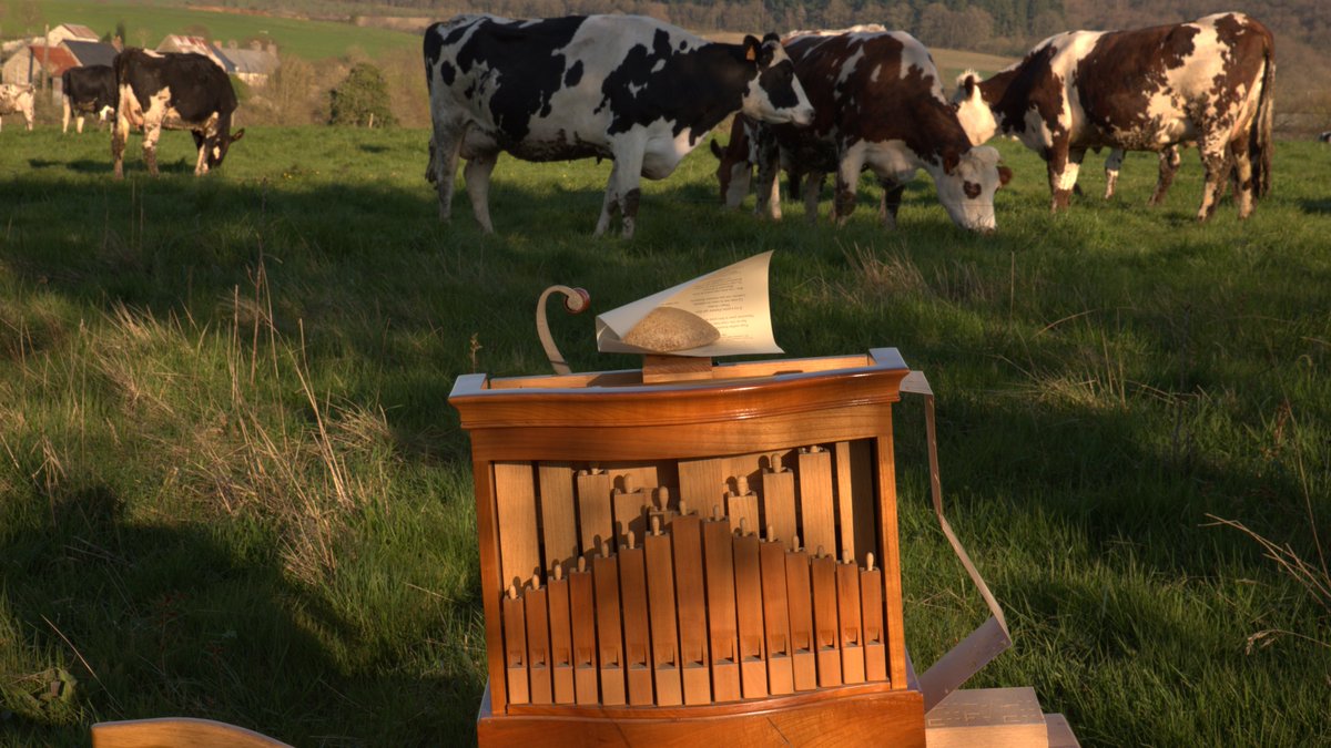 FredTolfey's tweet photo. Public curieux et enthousiaste lors de mon concert d'hier.
#orguedebarbarie #MontdesAvaloirs #Mayenne #campagne #vaches #chanson #chansonfrancaise #chanteur #fredtolfey #fredtolfeymusic #covid19 #confine #confinement #confinedehors #concert #partage #bonnehumeur #rire #espoir https://t.co/veobXI920i