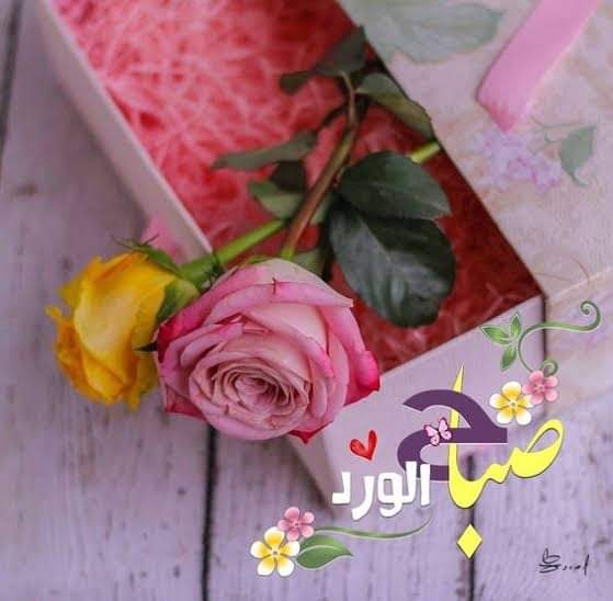 Majrh4's tweet photo. #همسات صباحيه 

لا بَأس مِن حُزنٍ أورَثَكِ صَبرًا..
ولَا بَأس بِخَيبَةٍ عَلَّمَتكِ دَرسًا..
ولَا بَأس بِدمعَة جَلبَت لَكِ قُوَّة...فقط تذكر 👇
""ان بعد العسر يسرا ..ان بعد العسر يسر"" https://t.co/QboH7g2UzR