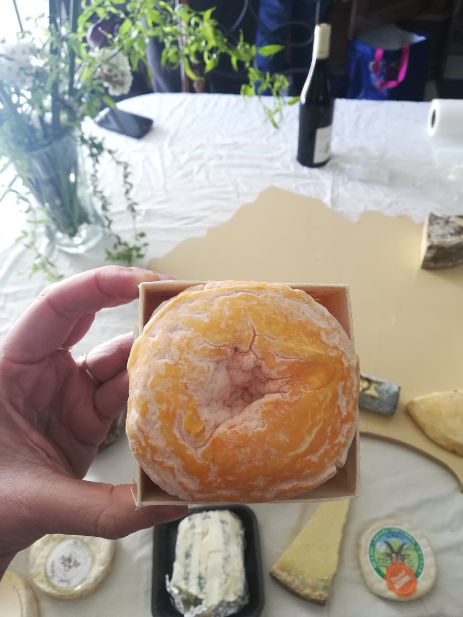  #CheeseThreadUne belle découverte pour moi : le Langres, avec sa belle coloration orangée. Il tire son nom du plateau de Langres dans le Grand-est. Plus la cuvette du dessus est affaissée, plus il est affiné !