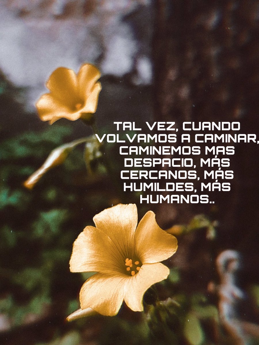 YamiPerdiguero's tweet photo. Más cerca, más despacio ✨ https://t.co/apjUQJUlv1