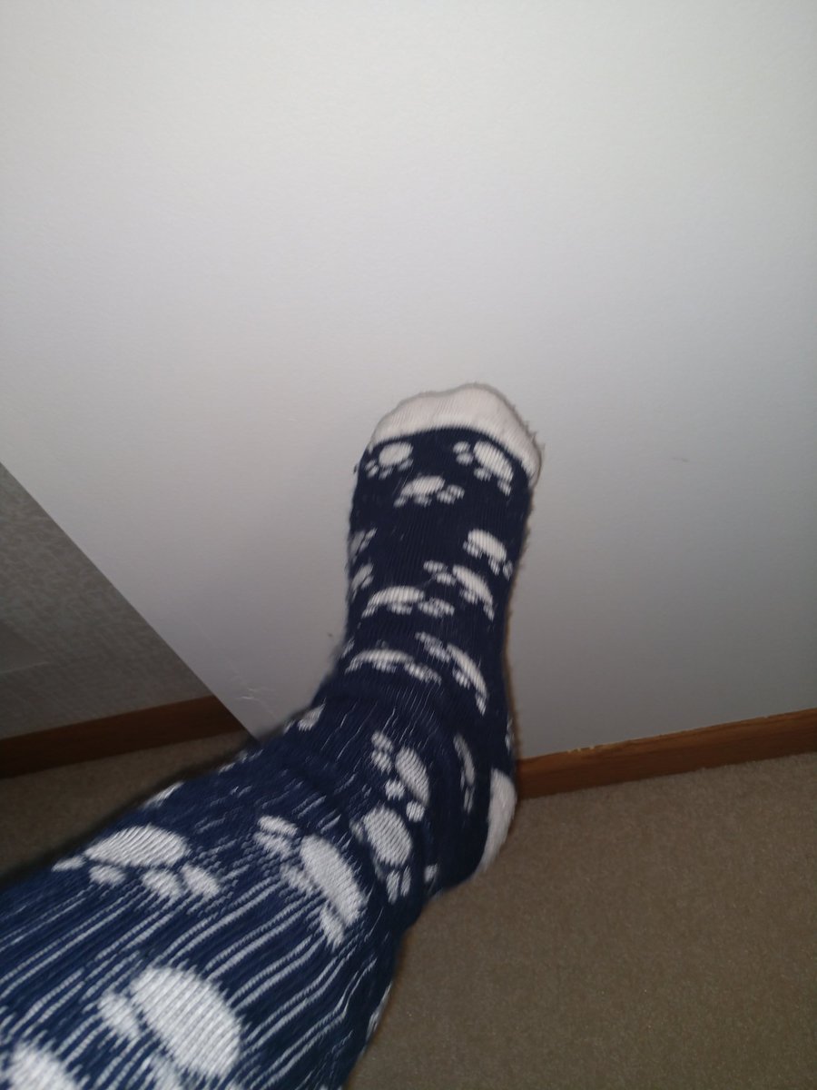 Got my paw prints on and ready to go! #Crazysocks #VirtualSpiritWeek <a href="/theTwinsburgHS/">THS</a>