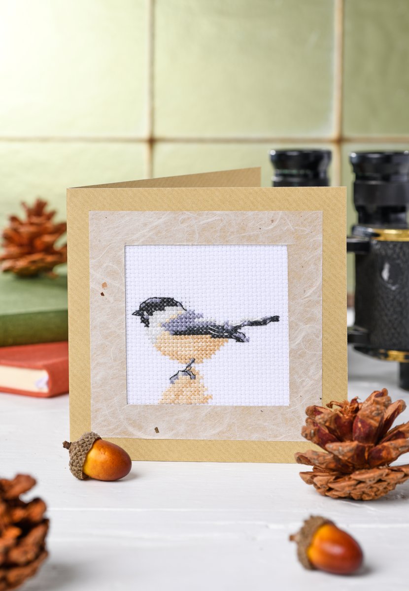 Help nature when you stitch and sell our Simply 7 cards to raise funds for <a href="/naturebftb/">Back from the Brink</a>! Each card features an endangered species that the project is working to save. Find out more at naturebftb.co.uk and see all the cards in issue 267 – available at magsdirect.co.uk