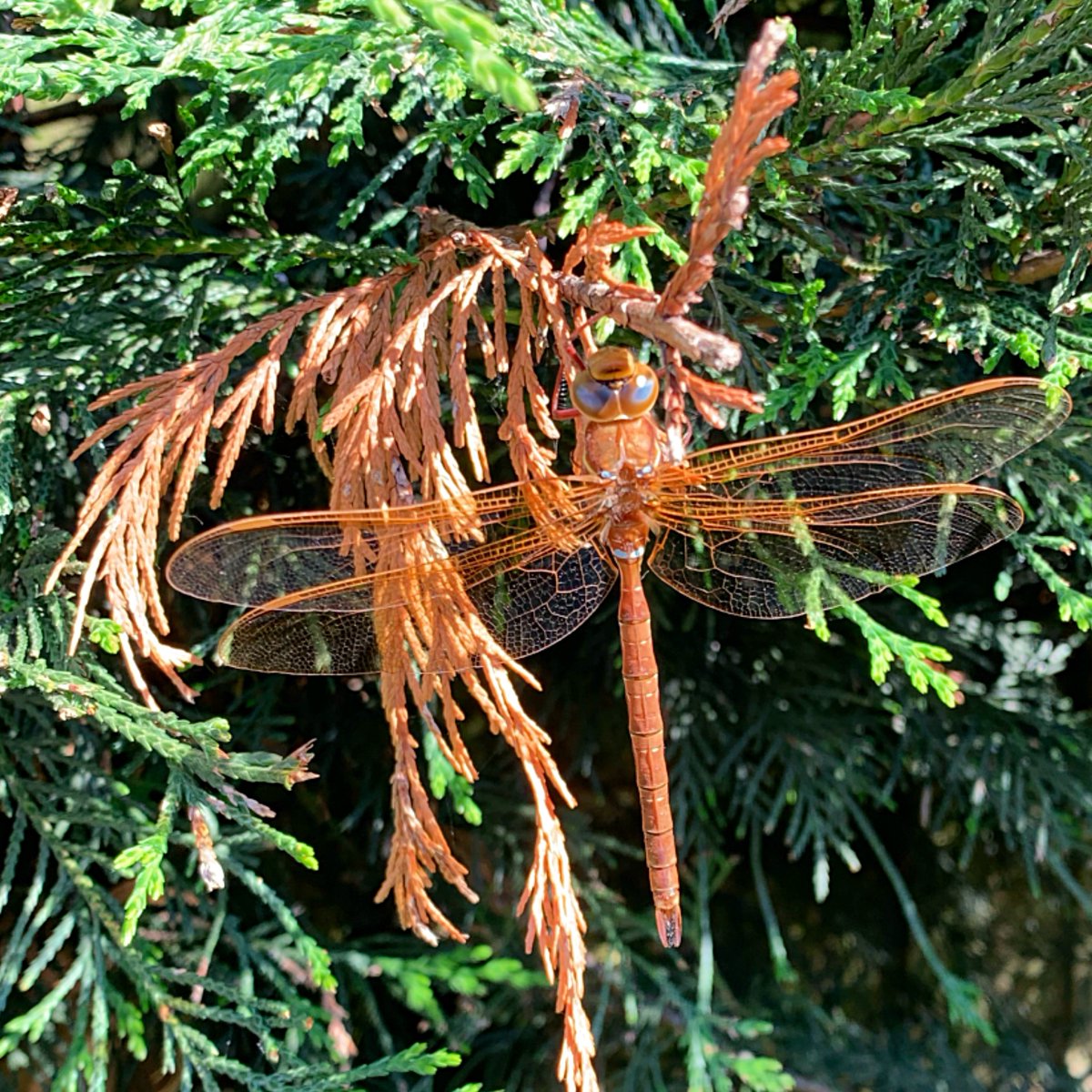 Inform People tweet media