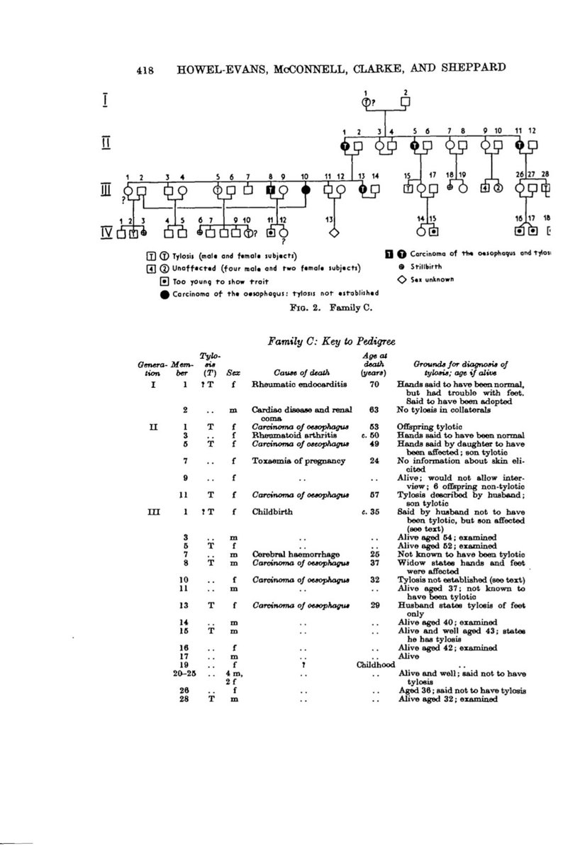 PerelmansPearls's tweet photo. Today’s #MedHxMonday is the 1st in #April ➡️#EsophagealCancerAwareness month let’s look back at #Howel–Evans syndrome aka #Tylosis w/ #EsophagealCancer described in 🇬🇧 1958 (19page paper <15 ref!)
1. Rare, AD, RHBDF mutation Ch17
2. 95% get EC by 65yo
3. EGD screening suggested https://t.co/D0tRV1OBvn