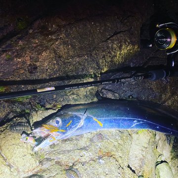 メタルマルが釣れる 人気カラーや相性の良いおすすめロッドも キャンパーズ
