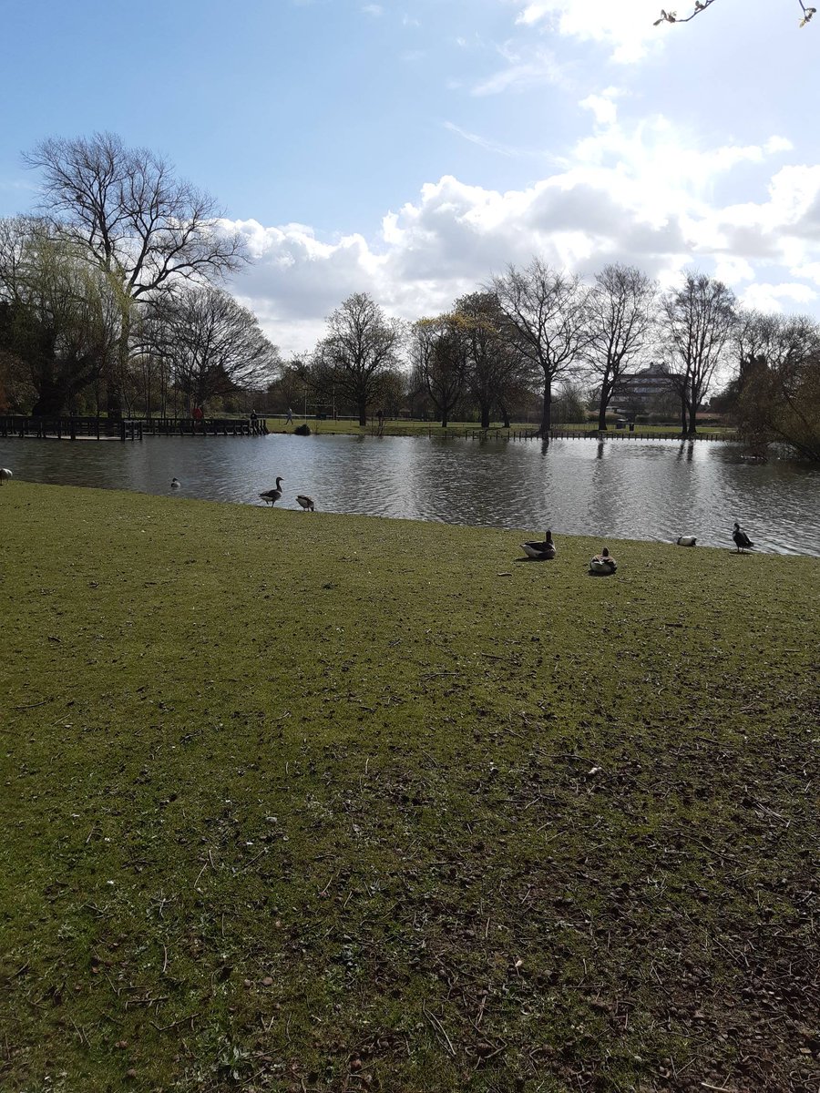 #EastHull 

East Hull Community Team out today. Foot patrol inside East Park following concerns raised regarding groups loitering and people fishing. A number of people dispersed on our arrival. #somethingfishygoingon please please please #stayhome and #staysafe