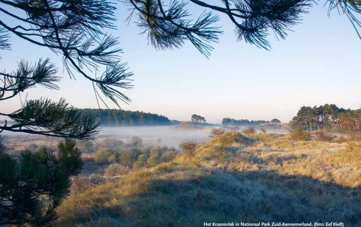 BEGRAZING INVLOED OP BROEDVOGELSTAND? In '07 zijn wisenten geïntroduceerd in het Kraansvlak. Datzelfde jaar is gestart met broedvogelinventarisaties. In 'De levende Natuur' verscheen art. over 10 jaar tellen. Door: Groenendijk, Kieft &amp; Rodriguez Gonzalez
wisenten.nl/nl/publicaties