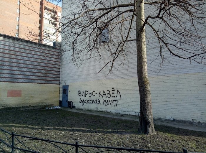 Ладожская рулит