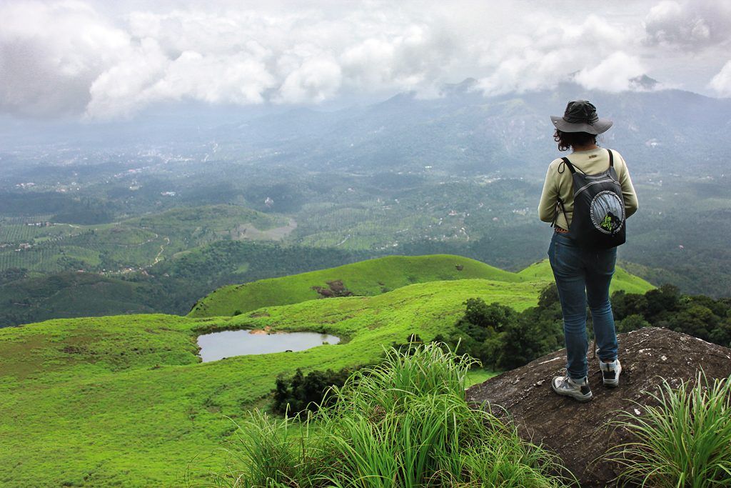 TravelinedCo's tweet photo. Wayanad Kerala: Wayanad is a rural district in Kerala state, southwest India. In the east, the Wayanad Wildlife Sanctuary is a lush, forested region with areas of high altitude, home to animals including Asiatic elephants, tigers, leopards and egrets. https://t.co/XsxSZ9OdwJ