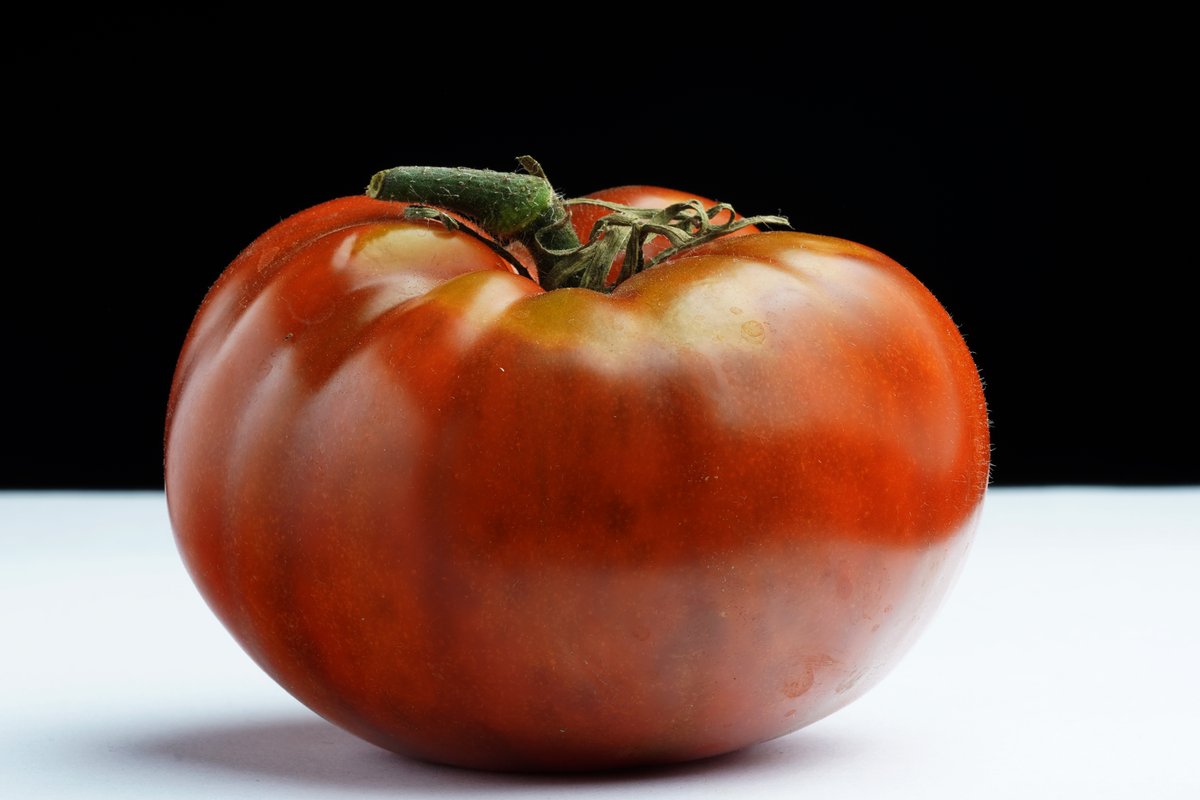 PowersFlowers's tweet image. 🍅 #ATomatoADay 🍅 is back with Cherokee Chocolate. This gorgeous, succulent beast was grown by the team at @NBGGlasnevin. Read more on Facebook facebook.com/TotallyTerrifi…
#TTTomFest20 #TomatoLove