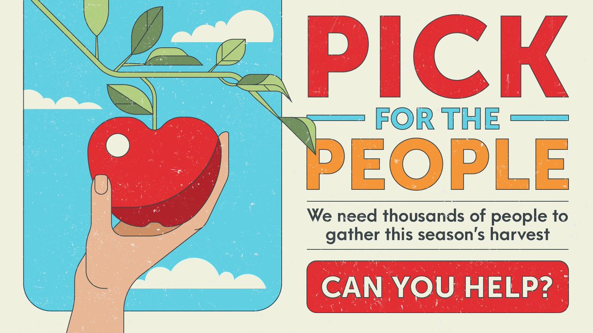 moorbles's tweet image. We have a big shortage of seasonal workers this season. Good food may rot in the fields. Please help and get paid to pick this season's crops. Apply here: concordiavolunteers.org.uk/feed-the-nation 
Pls RT. #feedthenation @ConcordiaVol @NFUtweets @FarmersWeekly @CLAtweets 
@Marta06508950 @moorbles