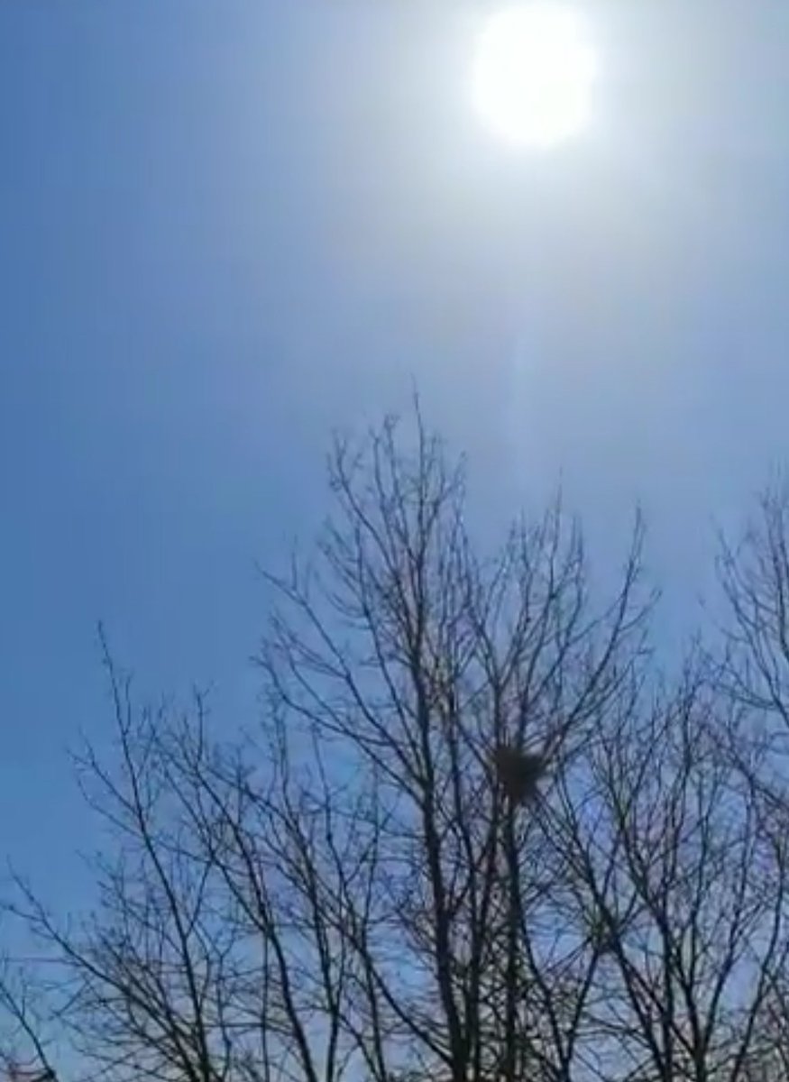 Martin_D18E's tweet photo. Per poi guardare quel cielo
a tratti finto e a tratti vero in cui
in cui ti vedo ruotare
ma in un'orbita indefinita
che mi confonde poi la matematica contata su cinque dita.
#testiBelli
#cieloBello
#ramiBelli e
#oSole o sole mio! https://t.co/DTDeAWi6mG