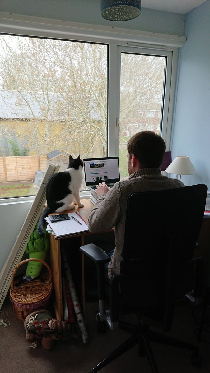 SiCaldwell23's tweet photo. @Number10cat Albus helping me work from home https://t.co/mWYr6gu3a8