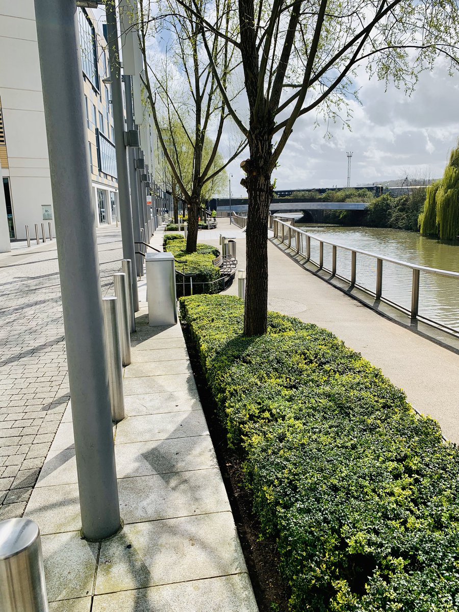 kyleleslie96's tweet photo. We may not be able to have a haircut. But at least these buxus get a trim. Happy Monday! https://t.co/XgcQrpYHct