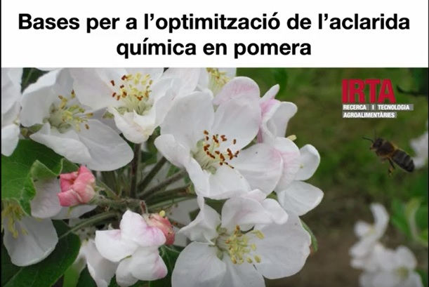 irtacat's tweet photo. La feina al camp no s'atura. En #fruiters, com la #pomera, ara toca #aclarida
Com diu el nostre investigador de #Fructicultura @JaumeLordan: "Ens juguem la temporada"
Mira el vídeo per conèixer les bases per optimitzar l'aclarida química en pomera
👉 https://t.co/ZOtpXdlRWN https://t.co/SjqxVMGVWY