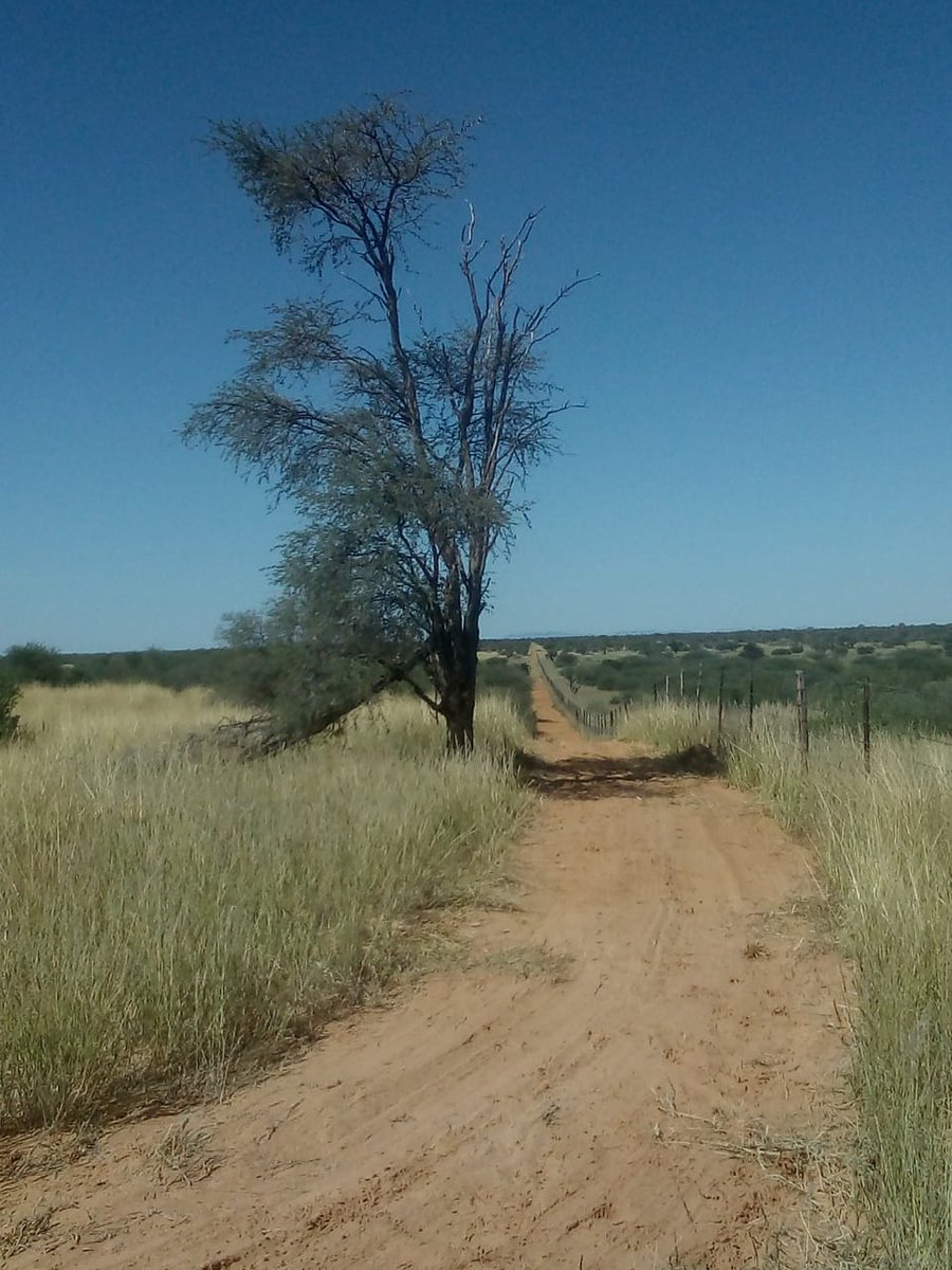 Thapz_kgopo's tweet photo. During lock down, I m about to complete the mission
#firebelt https://t.co/DN8zdyyvId