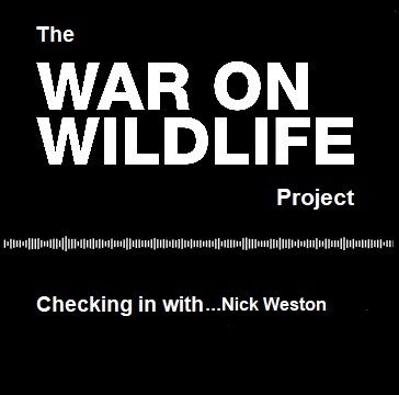 LeagueACS's tweet image. In these times of #selfdistancing and #selfisolating please take time to listen to the collection of @WaronWildlife  podcasts by Charlie Moores waronwildlife.co.uk/the-war-on-wil… #strengthentheban #badgercull