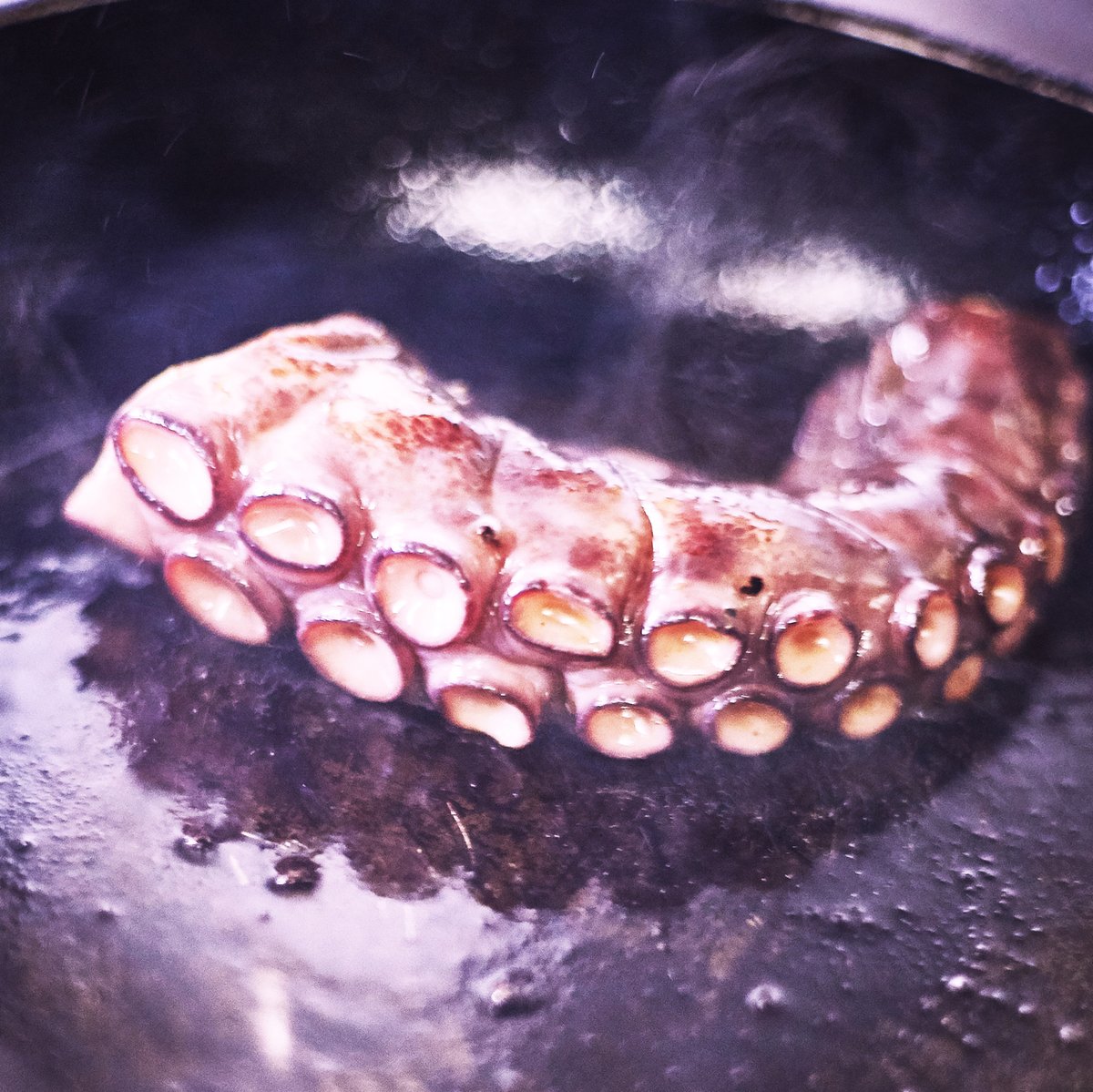 quispe_madrid's tweet photo. ¿Cuál es el plato que más te gusta con pulpo?
#DescrubreNuestroOrigen
#Quispe #QuispeLovers #QuispeMadrid #QuispeCooks #Madrid #MadridFoodie #FoodieMadrid #RestaurantesMadrid #PeruEnMadrid #IgersMadrid #RestaurantePeruano #PeruanoMadrid #PeruvianKitchen #PeruvianInMadrid https://t.co/Bpwh3fiY7w
