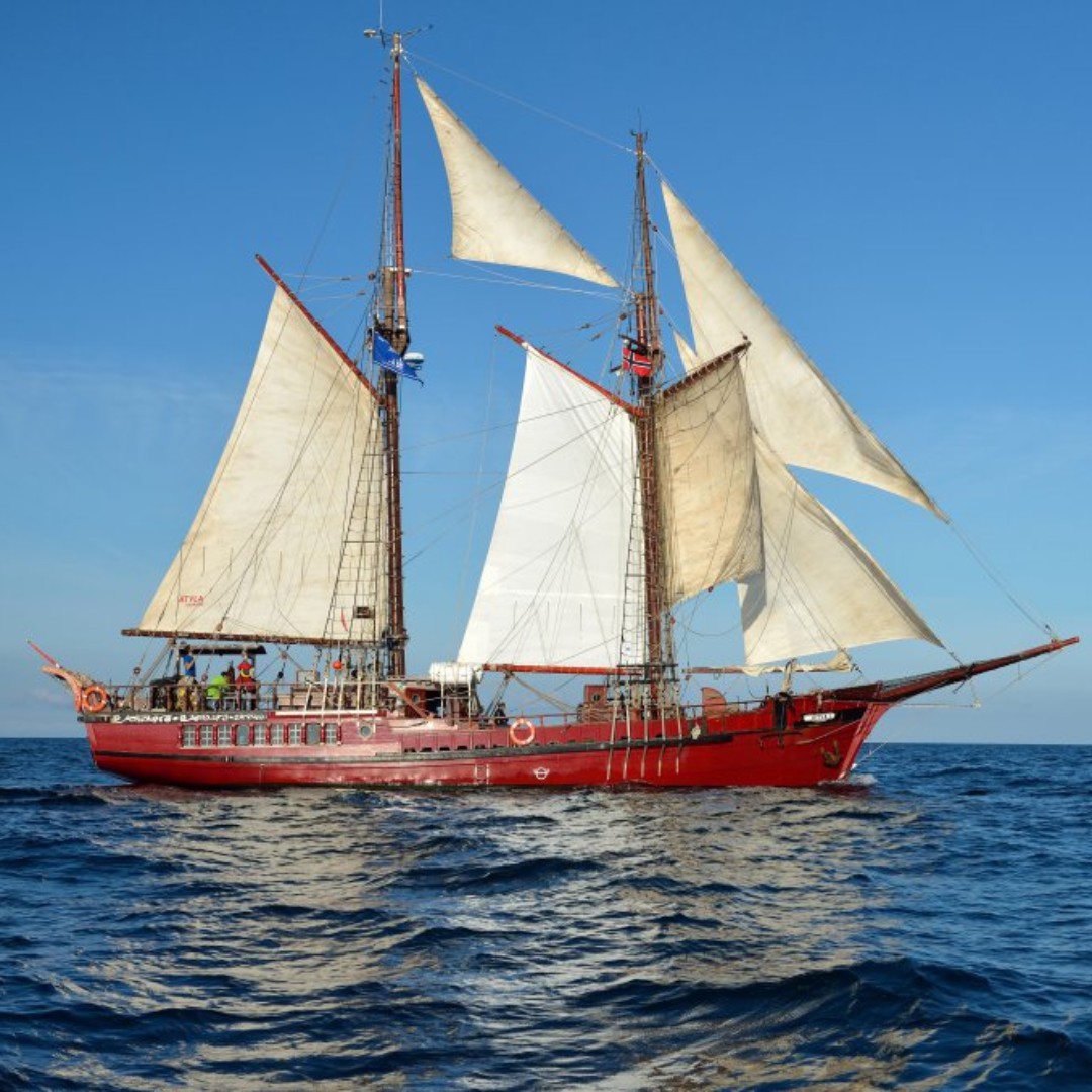Voiles de Legende / The Tall Ships Races Dunkerque tweet media