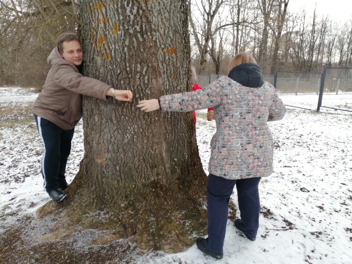 Сегодня  мы не можем погулять по парку родового имения И.С. Тургенева в селе Тургенево,но давайте посмотрим фотографии,полюбуемся липовыми и сосновыми аллеями, увидим любимое дерево писателя ясень-дерево мира.