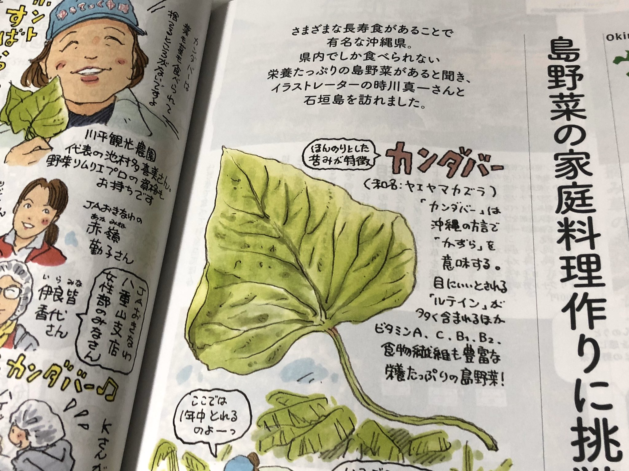 時川真一 2ヶ月前に取材に出かけた石垣島のイラストルポ記事が掲載されました 家の光5月号でカラー4ページです 再び気持ちよく島を訪れることができる日が早く来ますように 石垣島 イラストルポ カンダバー 家の光 T Co Cfdwscawek Twitter