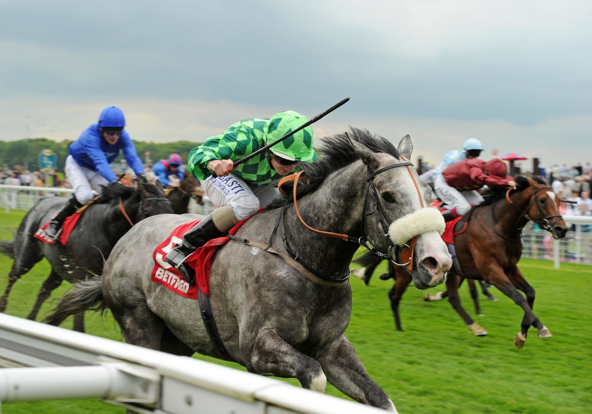 Timeform tweet media