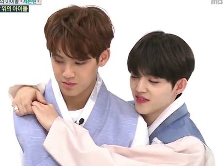 ☆ day 97 ☆happy mingyu day!! thank u mingyu for being seungcheol’s puppy partner in crime