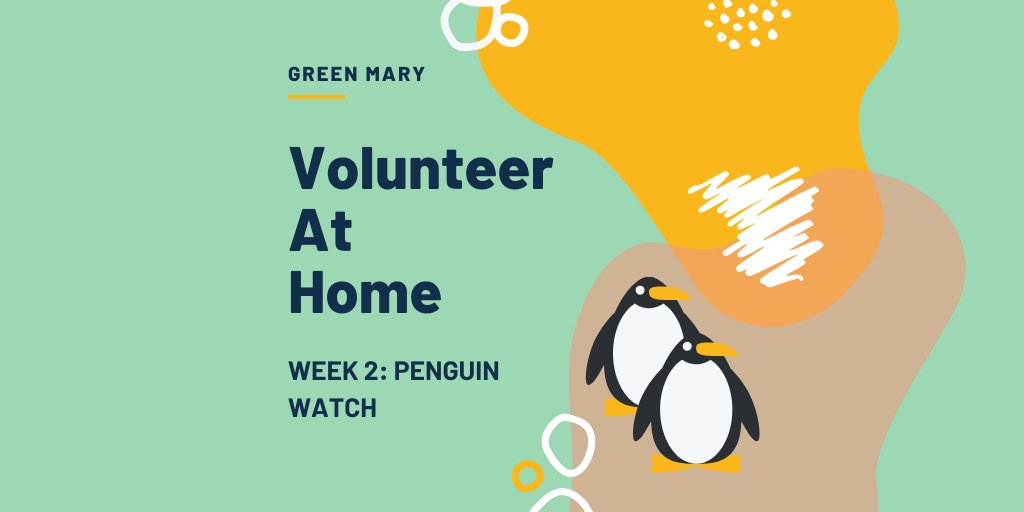 Looking for something to do while stuck inside?
This week is Penguin Watch. You can get involved by using images to identify penguins in remote regions of the Antarctic, helping scientists understand their lives.
buff.ly/2TJ1It5
Tag us and share how you're getting on!