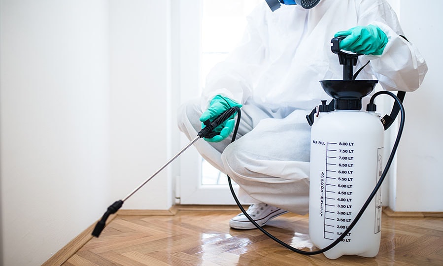 pmcskenya's tweet photo. We take Command And Control Of Your Pest Problem
Contact us today on 0722546720 or email info@pmcs.co.ke
#nairobi
#kenya
#pestcontrol #fumigation #cleaningservices
https://t.co/FJGbQDJZVV https://t.co/OKqR34UWFu