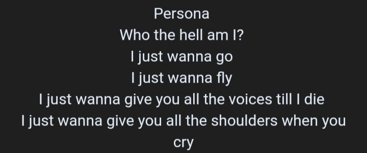 L'outro de cette chanson renvoie à une conclusion, une réponse à la question posée par Namjoon dans l'intro de Persona : « Persona, who the hell am I ? ».