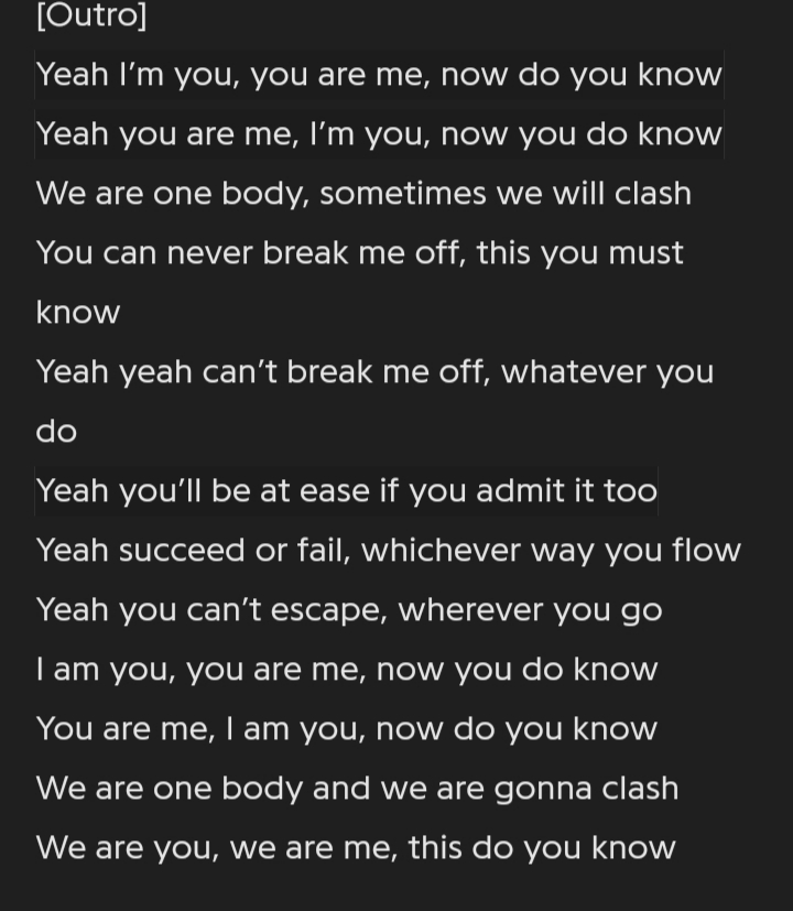 L'outro de cette chanson renvoie à une conclusion, une réponse à la question posée par Namjoon dans l'intro de Persona : « Persona, who the hell am I ? ».