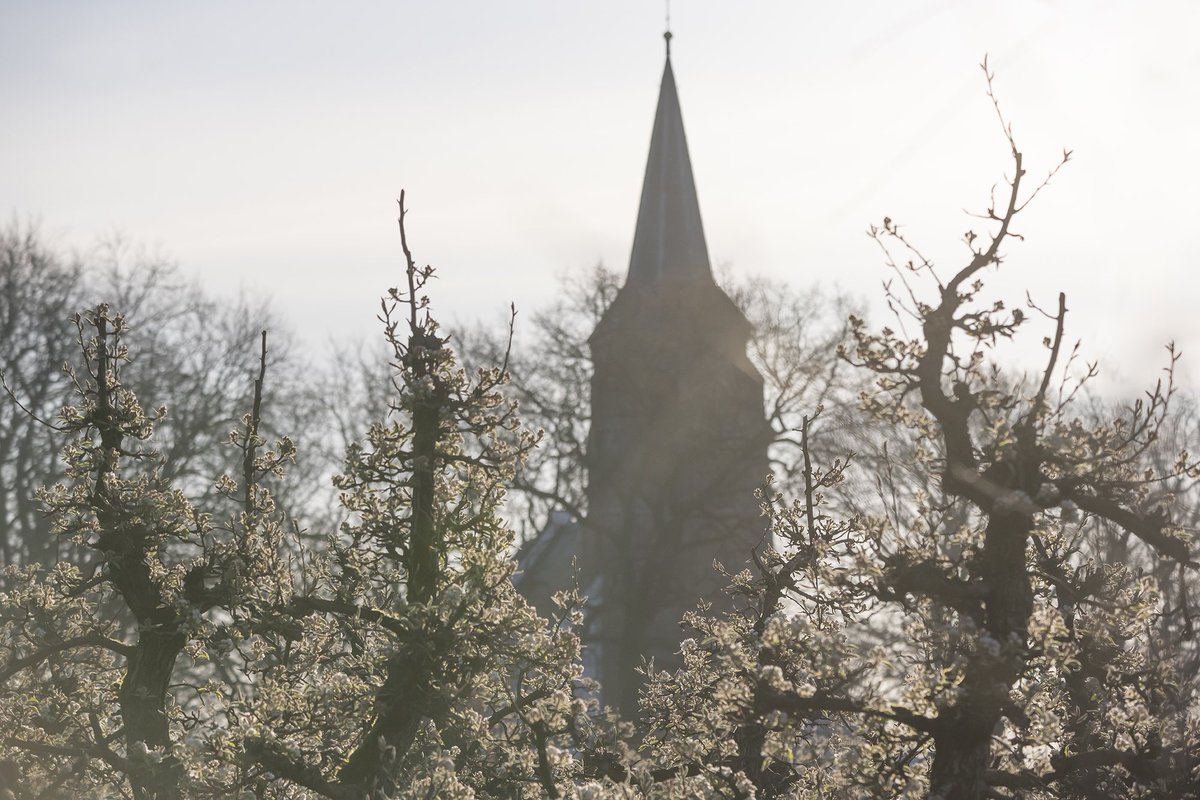 Wat is het mooi in #Enspijk op het moment! Wie deze dagen een rondje door het dorp maakt, realiseert zich wel dat het eigenlijk helemaal zo erg niet is om ‘thuis’ te moeten blijven!