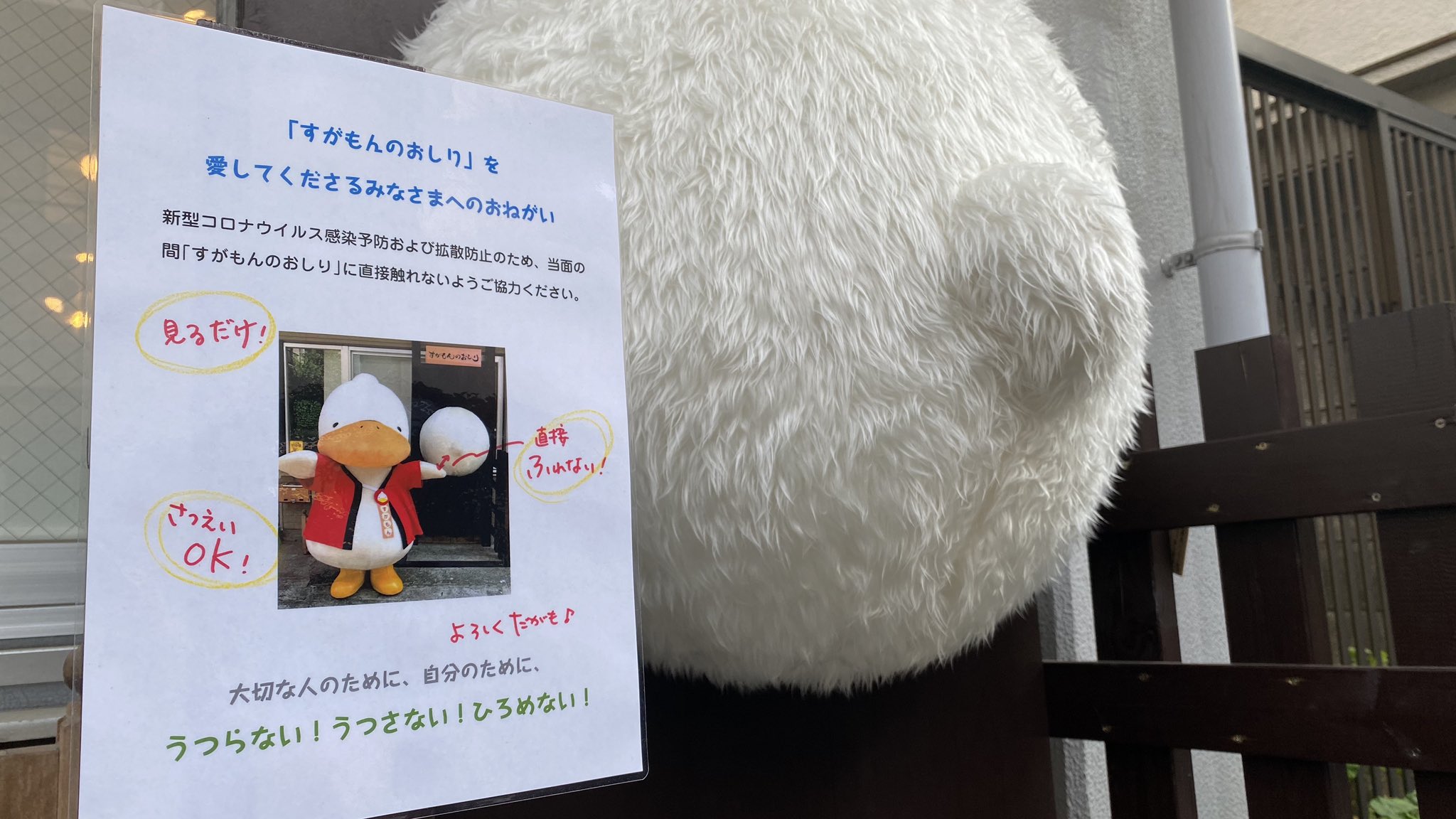 すがもん すがもんのおしり コロナたいさく さわらずにこころでなでてがも コロナに負けない すがもんのおしり