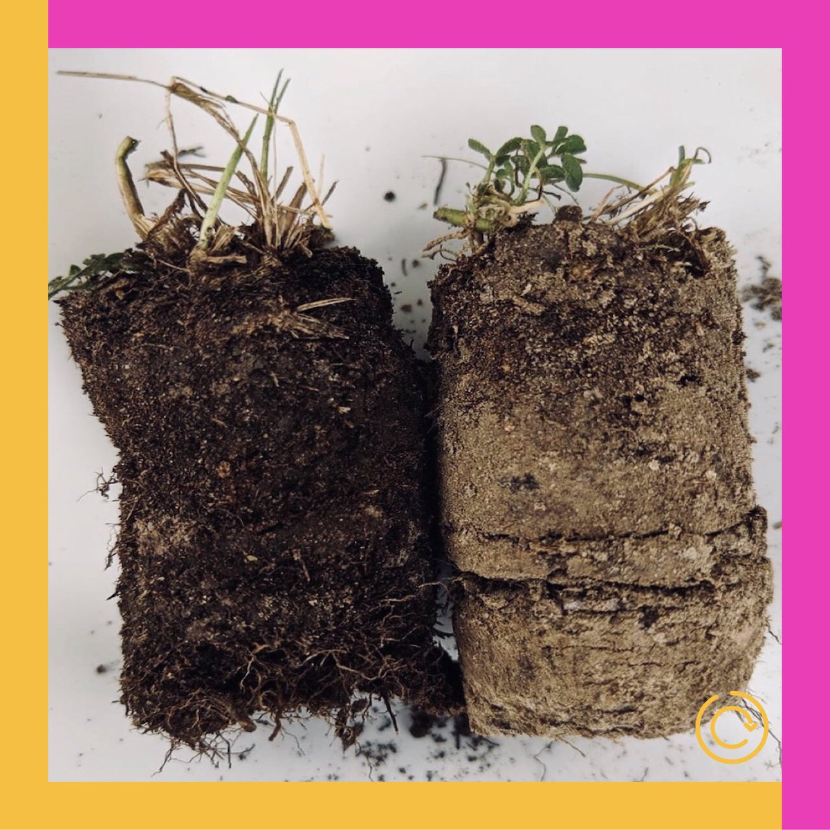 NdlessTheNewNormal tweet media