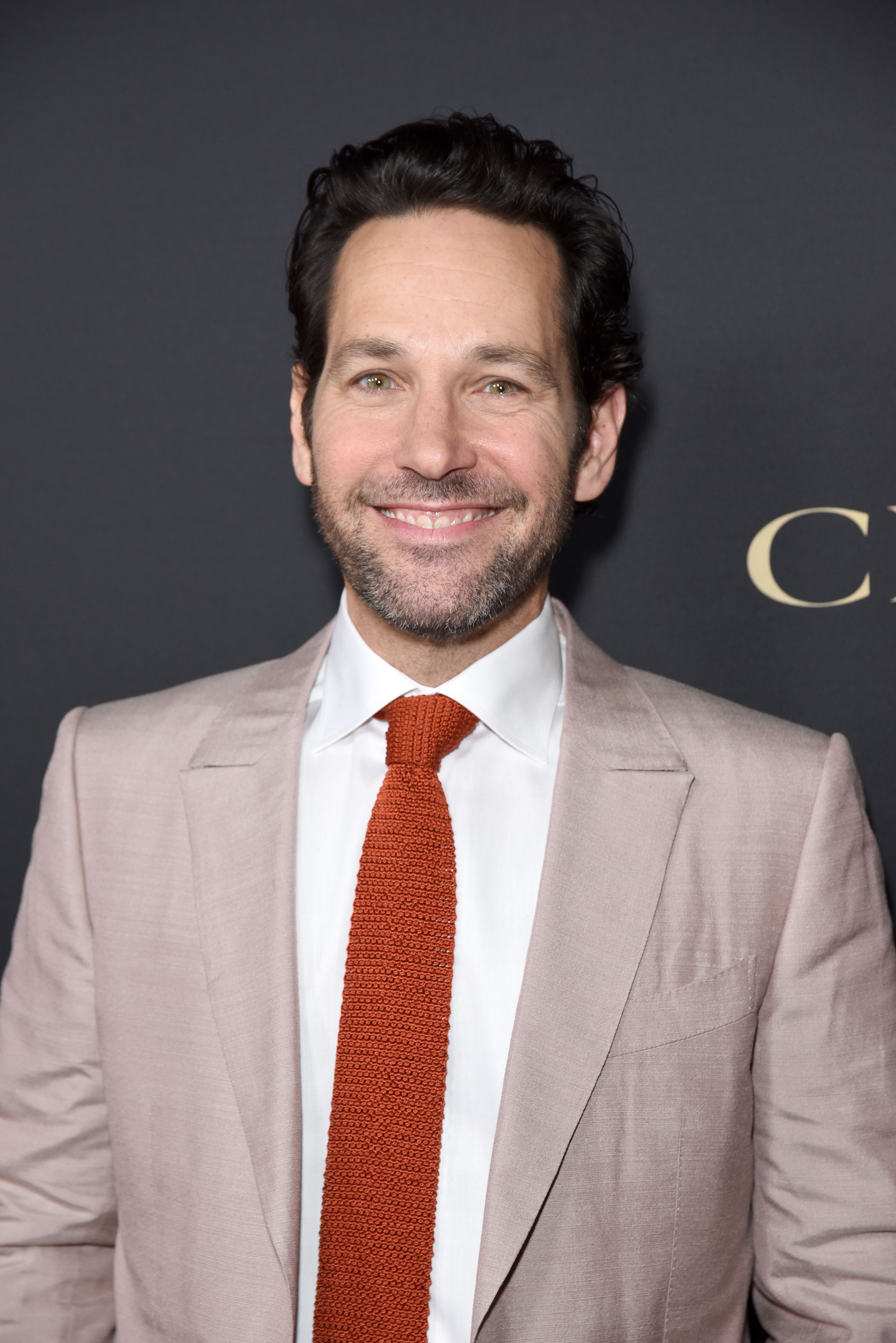 Paul Rudd's awkward side back in `I Love You, Man' - The San Diego  Union-Tribune