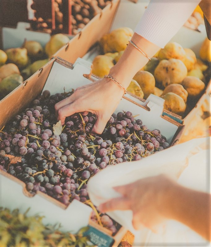 xVirity's tweet photo. Social media might be sending mixed messages about food shortages. Don't worry; we're here to answer your questions and explain how the #coronavirus will affect food production.

https://t.co/4wqoW0h81y

#mondaythoughts #agriculture https://t.co/9GFaT4zXgV