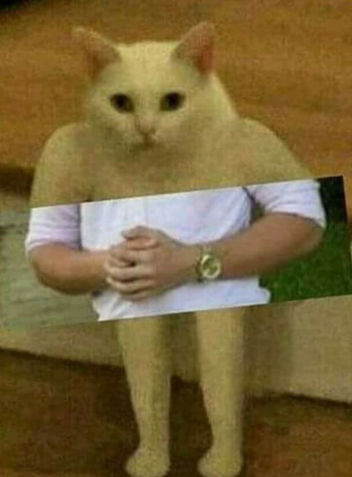 𝘒𝘌𝘒 tweet media