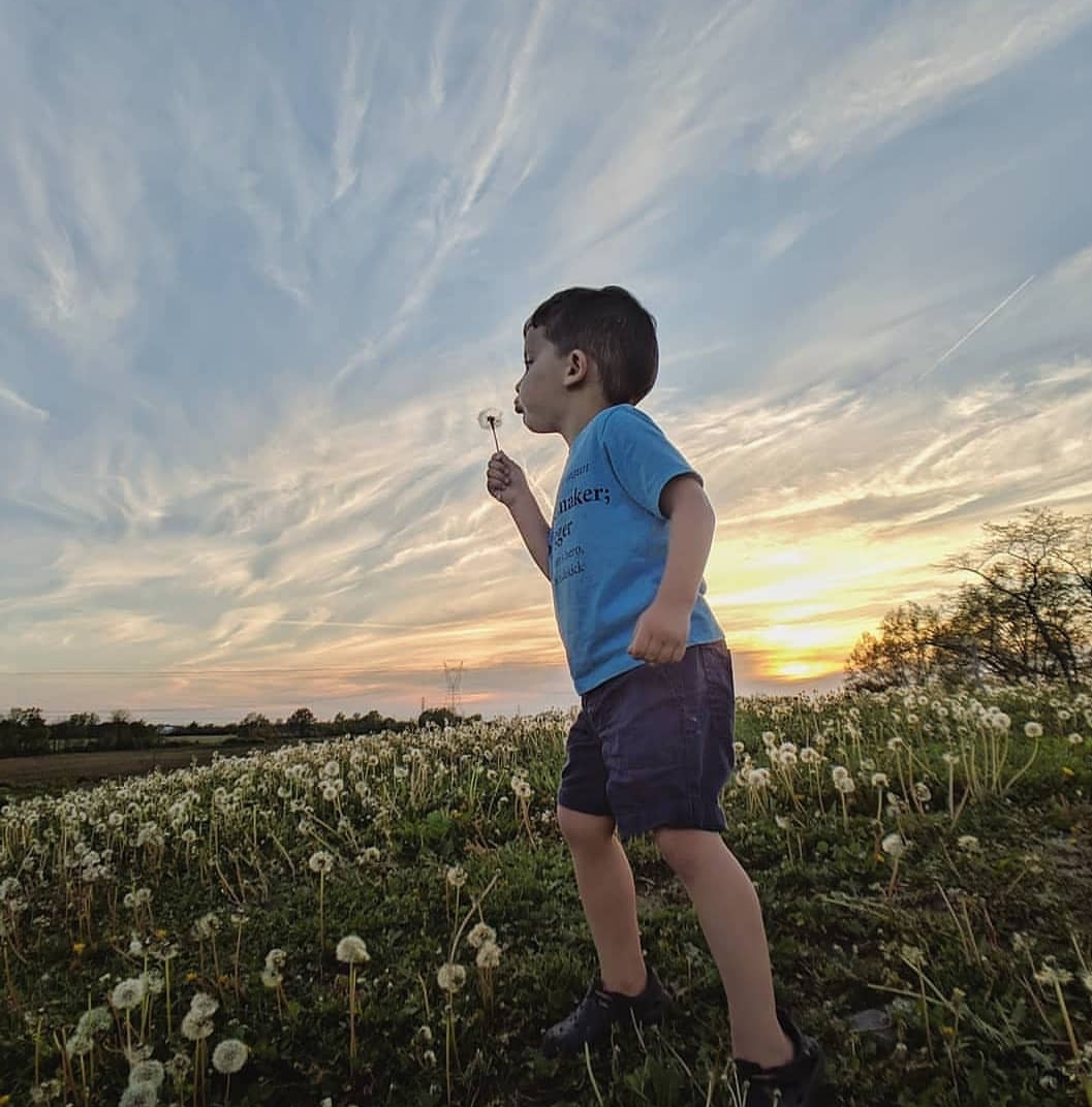 Visit Grove City tweet media